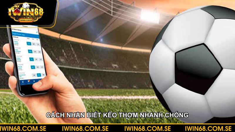 Cách nhận biết kèo thơm nhanh chóng nhất không phải ai cũng biết